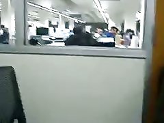 Kirjasto sormitus by loyalsock